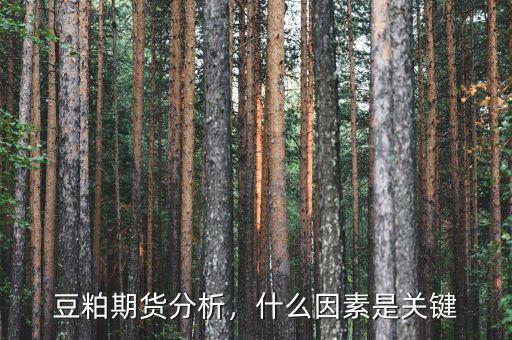 豆粕期貨分析，什么因素是關(guān)鍵
