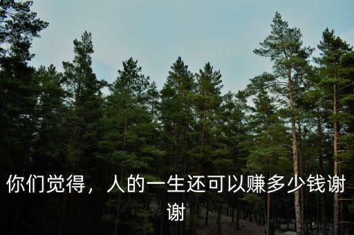 你們覺得，人的一生還可以賺多少錢謝謝