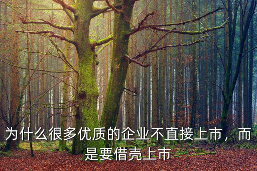 為什么很多優(yōu)質(zhì)的企業(yè)不直接上市，而是要借殼上市