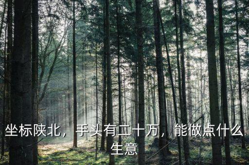 坐標(biāo)陜北，手頭有二十萬(wàn)，能做點(diǎn)什么生意