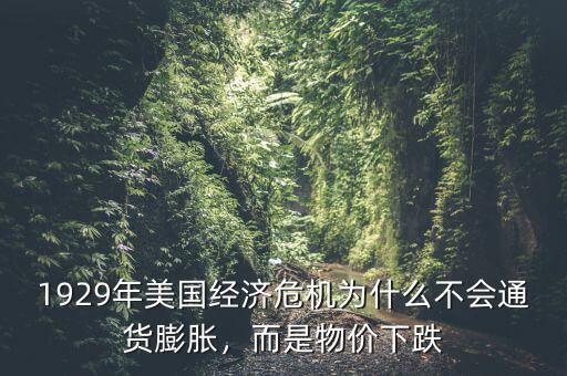 1929年美國經(jīng)濟(jì)危機(jī)為什么不會通貨膨脹，而是物價下跌
