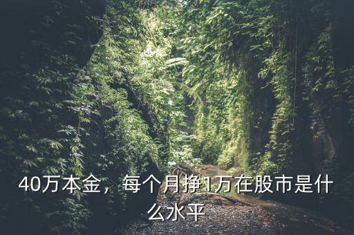 40萬本金，每個(gè)月掙1萬在股市是什么水平