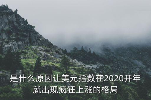 是什么原因讓美元指數(shù)在2020開(kāi)年就出現(xiàn)瘋狂上漲的格局