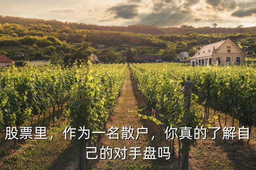股票里，作為一名散戶，你真的了解自己的對手盤嗎