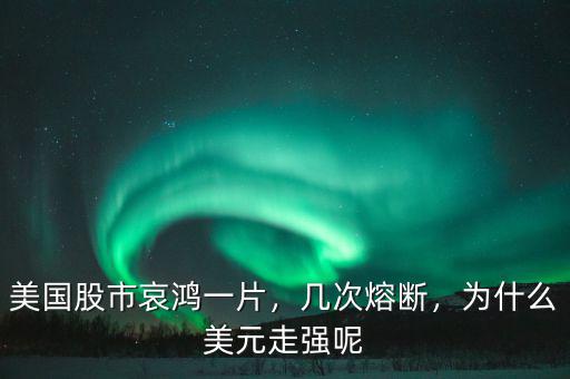 美國(guó)股市哀鴻一片，幾次熔斷，為什么美元走強(qiáng)呢