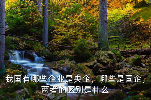 我國有哪些企業(yè)是央企，哪些是國企，兩者的區(qū)別是什么