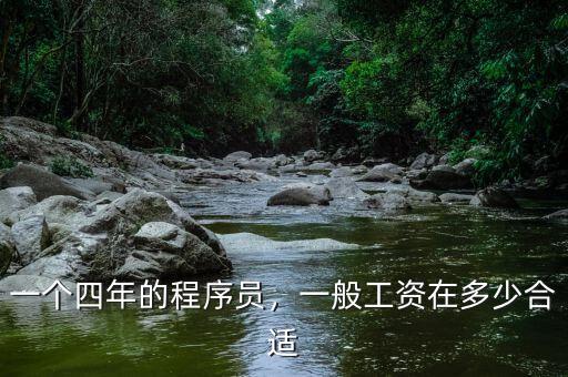 一個(gè)四年的程序員，一般工資在多少合適
