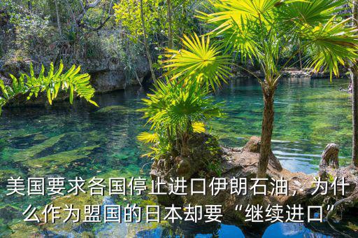美國要求各國停止進(jìn)口伊朗石油，為什么作為盟國的日本卻要“繼續(xù)進(jìn)口”