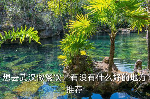 想去武漢做餐飲，有沒有什么好的地方推薦