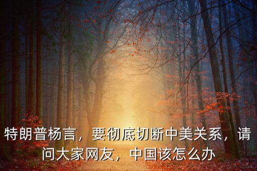 特朗普楊言，要徹底切斷中美關(guān)系，請(qǐng)問大家網(wǎng)友，中國該怎么辦
