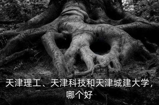 天津理工、天津科技和天津城建大學(xué)，哪個(gè)好