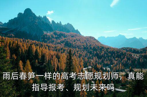 雨后春筍一樣的高考志愿規(guī)劃師，真能指導(dǎo)報(bào)考、規(guī)劃未來嗎