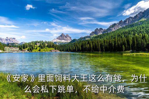 《安家》里面飼料大王這么有錢，為什么會(huì)私下跳單，不給中介費(fèi)
