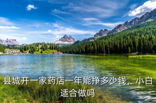 縣城開一家藥店一年能掙多少錢，小白適合做嗎