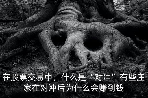 在股票交易中，什么是“對(duì)沖”有些莊家在對(duì)沖后為什么會(huì)賺到錢(qián)