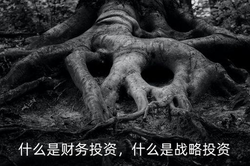 什么是財(cái)務(wù)投資，什么是戰(zhàn)略投資