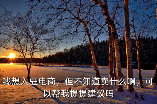 我想入駐電商，但不知道賣什么啊，可以幫我提提建議嗎