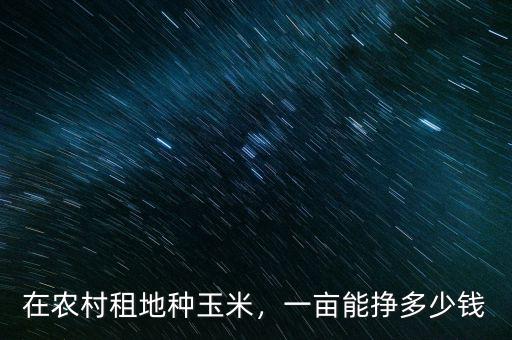 在農(nóng)村租地種玉米，一畝能掙多少錢
