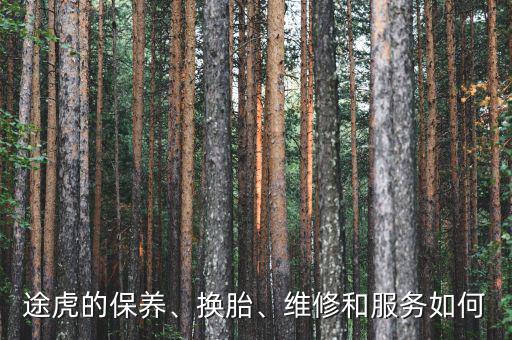 途虎的保養(yǎng)、換胎、維修和服務(wù)如何