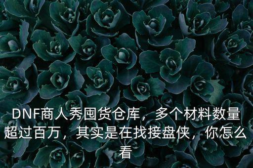 DNF商人秀囤貨倉庫，多個材料數(shù)量超過百萬，其實是在找接盤俠，你怎么看