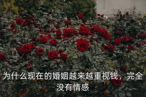為什么現(xiàn)在的婚姻越來越重視錢，完全沒有情感