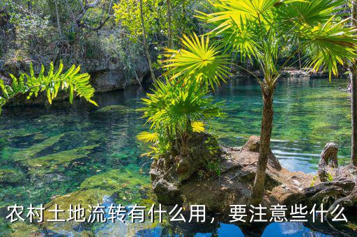 農(nóng)村土地流轉(zhuǎn)有什么用，要注意些什么
