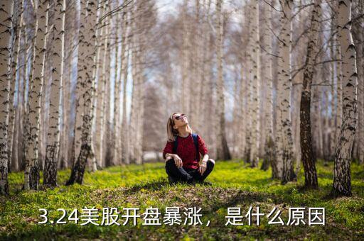 3.24美股開盤暴漲，是什么原因