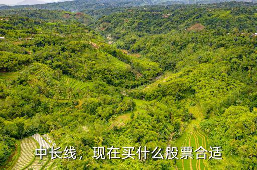 中長(zhǎng)線，現(xiàn)在買什么股票合適