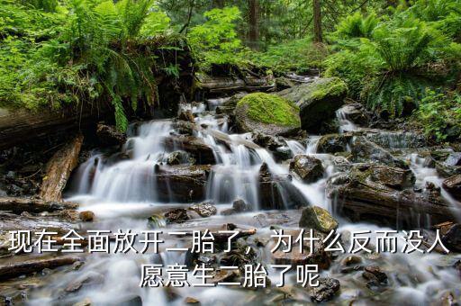 現(xiàn)在全面放開(kāi)二胎了，為什么反而沒(méi)人愿意生二胎了呢