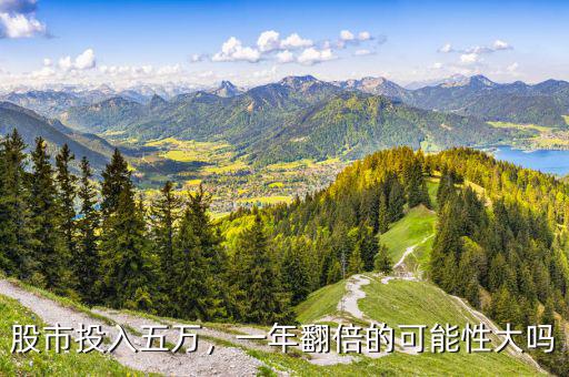 股市投入五萬，一年翻倍的可能性大嗎