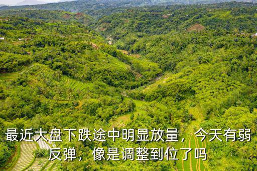 最近大盤下跌途中明顯放量，今天有弱反彈，像是調整到位了嗎