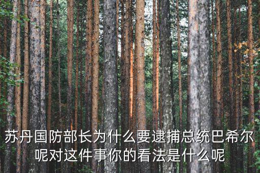 蘇丹國防部長為什么要逮捕總統(tǒng)巴希爾呢對(duì)這件事你的看法是什么呢