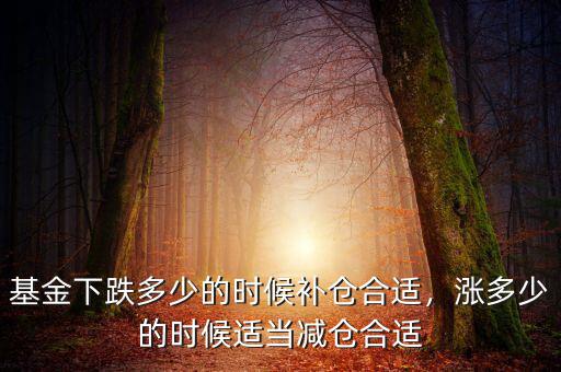 基金下跌多少的時候補倉合適，漲多少的時候適當減倉合適