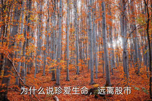 為什么說珍愛生命，遠離股市