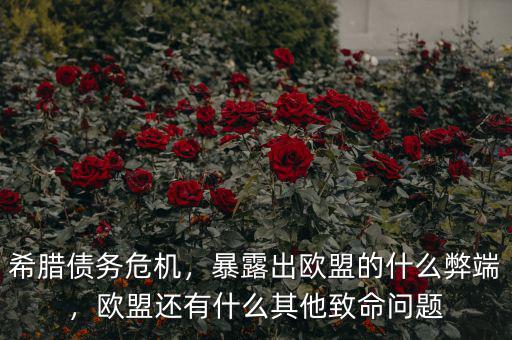希臘債務(wù)危機，暴露出歐盟的什么弊端，歐盟還有什么其他致命問題