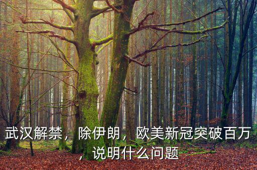 武漢解禁，除伊朗，歐美新冠突破百萬，說明什么問題