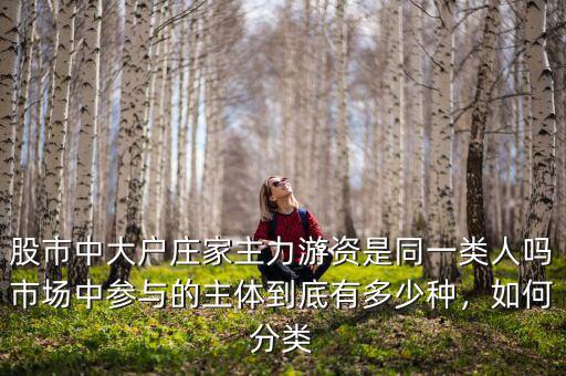 股市中大戶莊家主力游資是同一類人嗎市場中參與的主體到底有多少種，如何分類