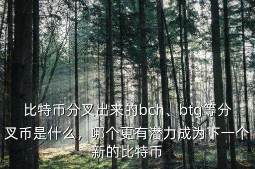 比特幣分叉出來(lái)的bch、btg等分叉幣是什么，哪個(gè)更有潛力成為下一個(gè)新的比特幣