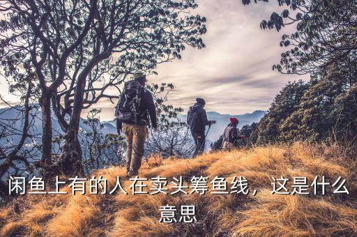 力拔頭籌是什么意思,閑魚(yú)上有的人在賣頭籌魚(yú)線