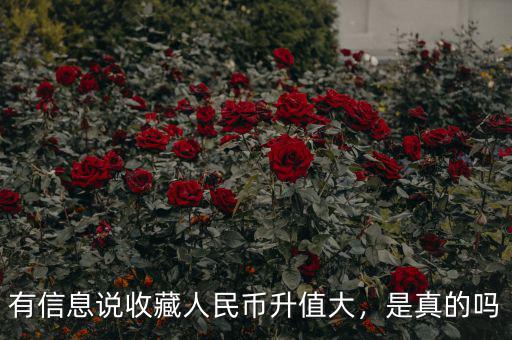 有信息說收藏人民幣升值大，是真的嗎