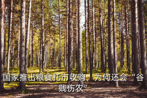 國家推出糧食托市收購，為何還會“谷賤傷農(nóng)”