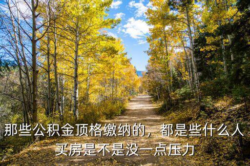 那些公積金頂格繳納的，都是些什么人買房是不是沒一點壓力