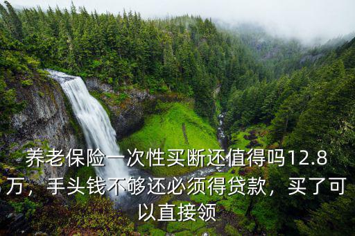 養(yǎng)老保險(xiǎn)一次性買(mǎi)斷還值得嗎12.8萬(wàn)，手頭錢(qián)不夠還必須得貸款，買(mǎi)了可以直接領(lǐng)