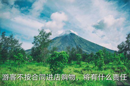 游客不按合同進店購物，將有什么責(zé)任
