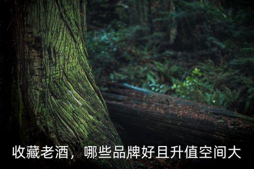 收藏老酒，哪些品牌好且升值空間大