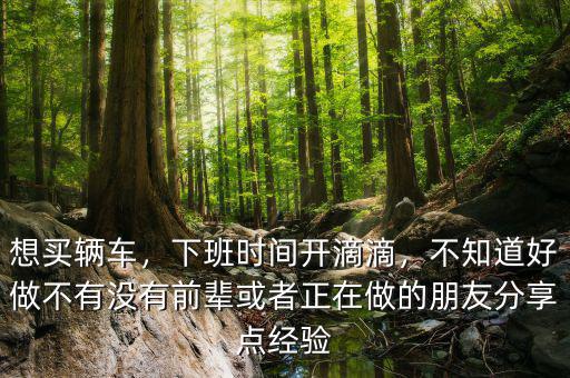 想買輛車，下班時(shí)間開滴滴，不知道好做不有沒(méi)有前輩或者正在做的朋友分享點(diǎn)經(jīng)驗(yàn)