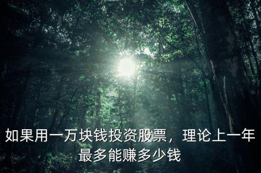 如果用一萬塊錢投資股票，理論上一年最多能賺多少錢