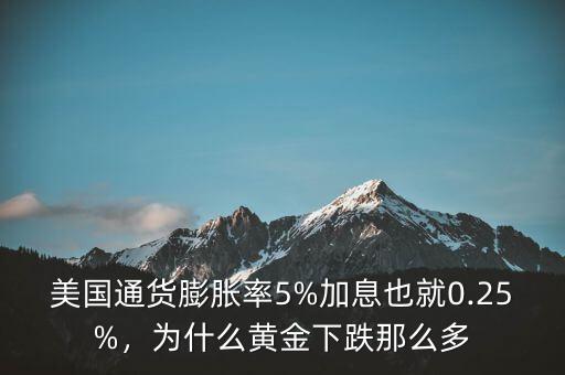 美國通貨膨脹率5%加息也就0.25%，為什么黃金下跌那么多
