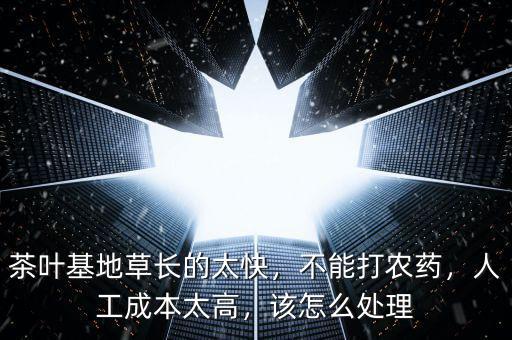 茶葉基地草長的太快，不能打農(nóng)藥，人工成本太高，該怎么處理