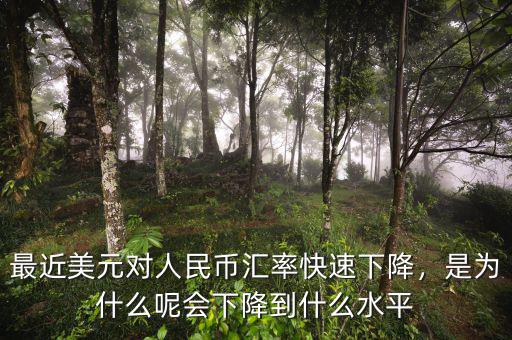 最近美元對(duì)人民幣匯率快速下降，是為什么呢會(huì)下降到什么水平
